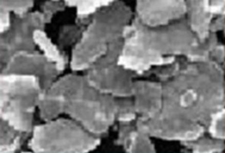 SSC(Flake) Type Silver Coated Copper